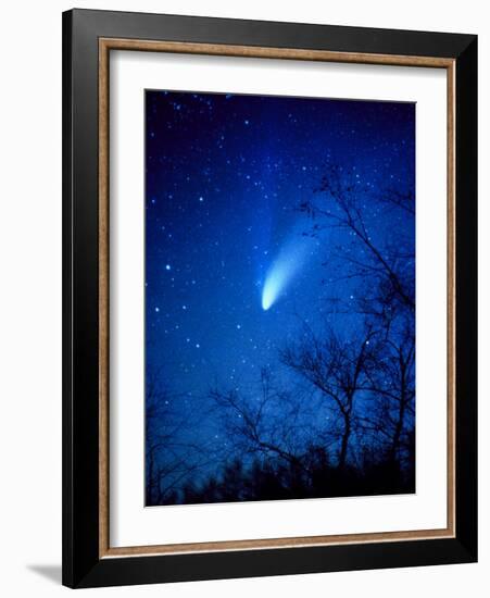 Optical Image of Comet Hale-Bopp, 6 April 1997-Detlev Van Ravenswaay-Framed Photographic Print