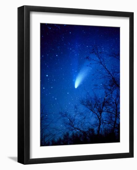 Optical Image of Comet Hale-Bopp, 6 April 1997-Detlev Van Ravenswaay-Framed Photographic Print