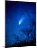 Optical Image of Comet Hale-Bopp, 6 April 1997-Detlev Van Ravenswaay-Mounted Photographic Print