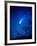 Optical Image of Comet Hale-Bopp, 6 April 1997-Detlev Van Ravenswaay-Framed Photographic Print