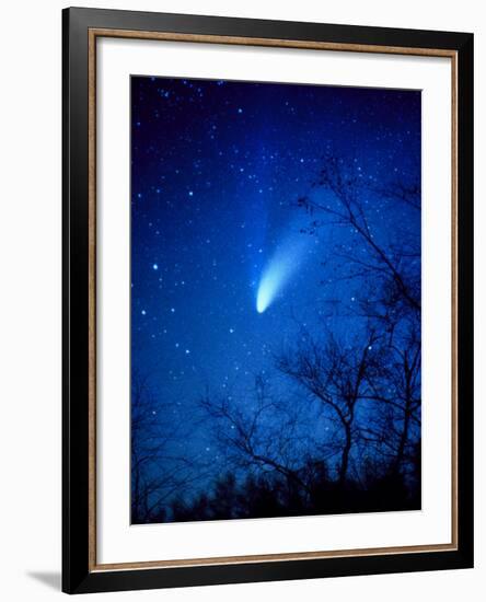 Optical Image of Comet Hale-Bopp, 6 April 1997-Detlev Van Ravenswaay-Framed Photographic Print