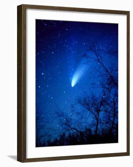 Optical Image of Comet Hale-Bopp, 6 April 1997-Detlev Van Ravenswaay-Framed Photographic Print