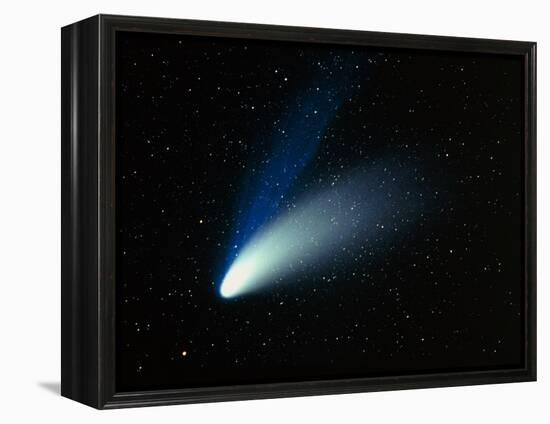 Optical Image of Comet Hale-Bopp In the Night Sky-Dr. Fred Espenak-Framed Premier Image Canvas