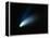 Optical Image of Comet Hale-Bopp In the Night Sky-Dr. Fred Espenak-Framed Premier Image Canvas