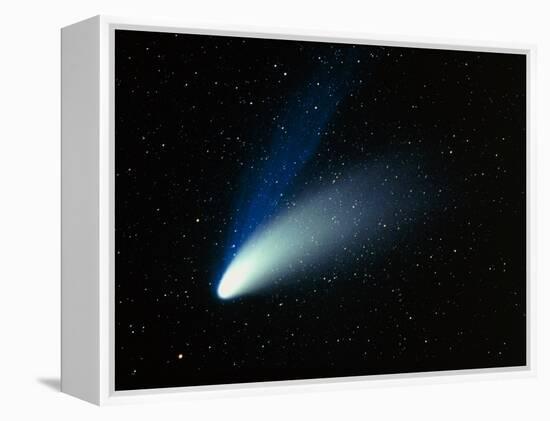 Optical Image of Comet Hale-Bopp In the Night Sky-Dr. Fred Espenak-Framed Premier Image Canvas