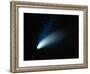 Optical Image of Comet Hale-Bopp In the Night Sky-Dr. Fred Espenak-Framed Photographic Print