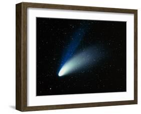 Optical Image of Comet Hale-Bopp In the Night Sky-Dr. Fred Espenak-Framed Photographic Print