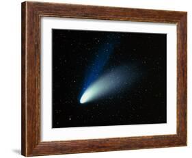 Optical Image of Comet Hale-Bopp In the Night Sky-Dr. Fred Espenak-Framed Photographic Print