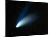 Optical Image of Comet Hale-Bopp In the Night Sky-Dr. Fred Espenak-Mounted Photographic Print