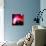 Optical Image of Horsehead Nebula And Sur-Celestial Image-Premium Photographic Print displayed on a wall