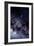 Optical Image of the Scorpius Constellation-Dr. Fred Espenak-Framed Photographic Print