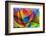 Optical Pattern-Eric Heller-Framed Photographic Print