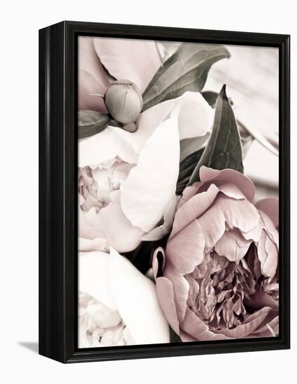 Opulent 1-Design Fabrikken-Framed Premier Image Canvas