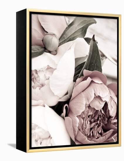 Opulent 1-Design Fabrikken-Framed Premier Image Canvas