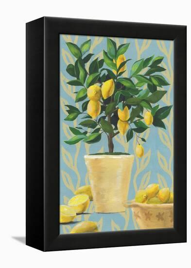 Opulent Citrus I-Grace Popp-Framed Stretched Canvas