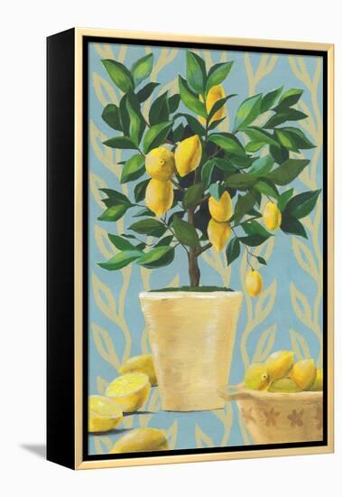 Opulent Citrus I-Grace Popp-Framed Stretched Canvas