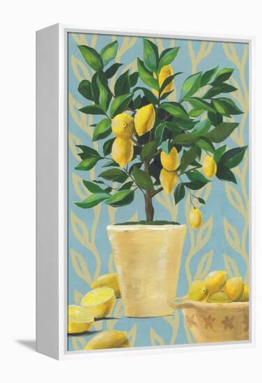 Opulent Citrus I-Grace Popp-Framed Stretched Canvas
