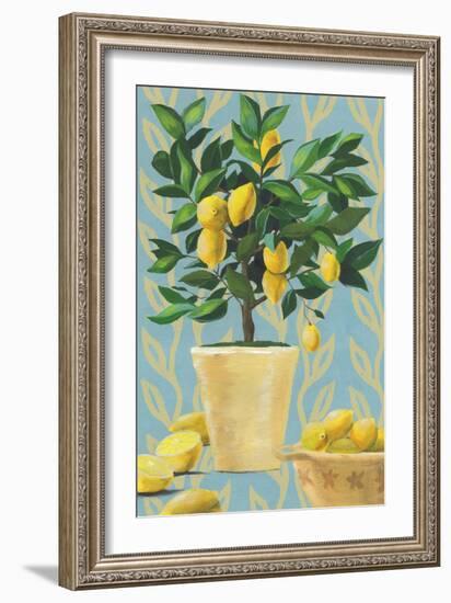 Opulent Citrus I-Grace Popp-Framed Art Print