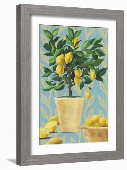 Opulent Citrus I-Grace Popp-Framed Art Print