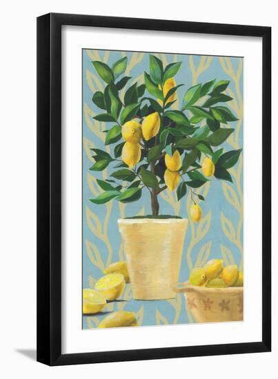 Opulent Citrus I-Grace Popp-Framed Art Print