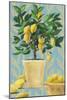 Opulent Citrus I-Grace Popp-Mounted Art Print
