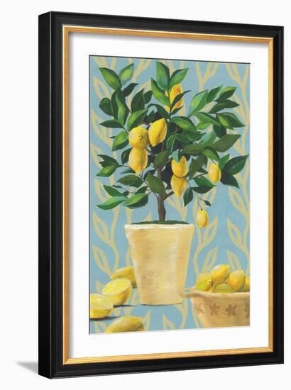 Opulent Citrus I-Grace Popp-Framed Art Print