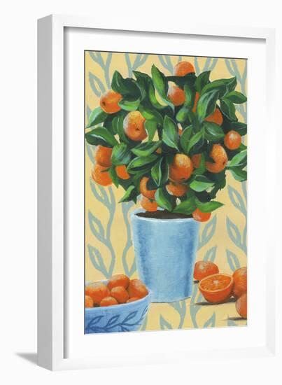 Opulent Citrus II-Grace Popp-Framed Art Print