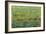 Opulent Field I-Tim O'toole-Framed Premium Giclee Print