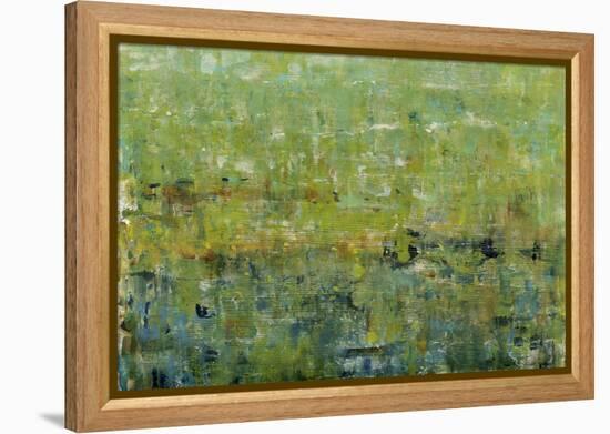 Opulent Field I-Tim O'toole-Framed Stretched Canvas
