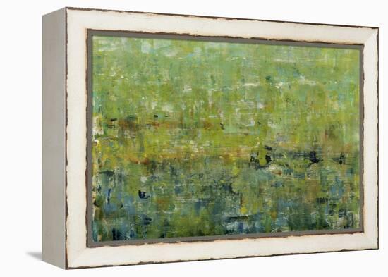 Opulent Field I-Tim O'toole-Framed Stretched Canvas