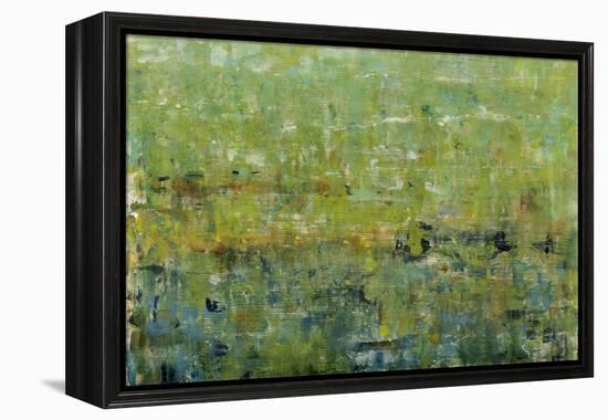 Opulent Field I-Tim O'toole-Framed Stretched Canvas