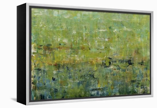 Opulent Field I-Tim O'toole-Framed Stretched Canvas