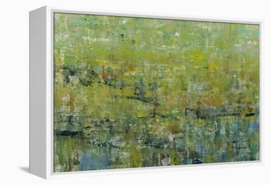 Opulent Field II-Tim O'toole-Framed Stretched Canvas