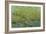 Opulent Field II-Tim O'toole-Framed Art Print