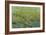 Opulent Field II-Tim O'toole-Framed Art Print