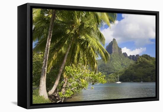 Opunohu Bay, Mo'Orea, Society Islands, French Polynesia-Ian Trower-Framed Premier Image Canvas