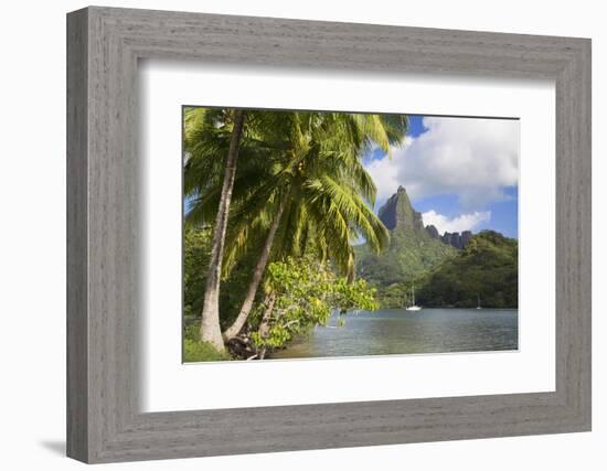 Opunohu Bay, Mo'Orea, Society Islands, French Polynesia-Ian Trower-Framed Photographic Print