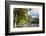 Opunohu Bay, Mo'Orea, Society Islands, French Polynesia-Ian Trower-Framed Photographic Print