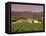 Opus One Winery, Napa Valley, California-John Alves-Framed Premier Image Canvas