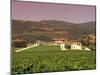 Opus One Winery, Napa Valley, California-John Alves-Mounted Photographic Print