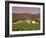 Opus One Winery, Napa Valley, California-John Alves-Framed Photographic Print