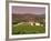 Opus One Winery, Napa Valley, California-John Alves-Framed Photographic Print
