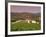 Opus One Winery, Napa Valley, California-John Alves-Framed Photographic Print