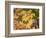 OR, Columbia River Gorge National Scenic Area. Autumn leaves of bigleaf maple on ground-John Barger-Framed Photographic Print