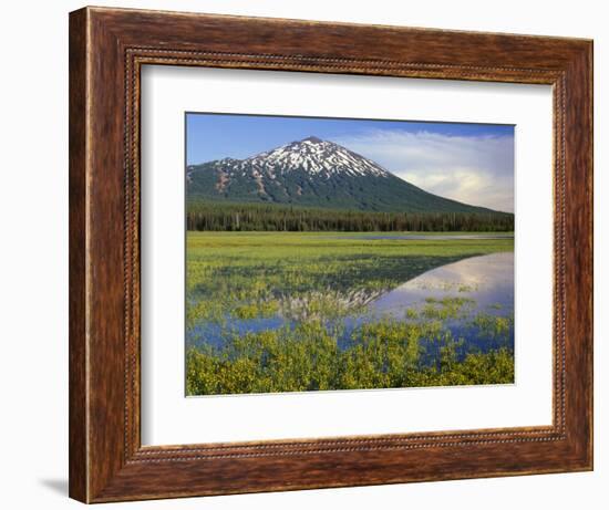 OR, Deschutes NF. Mount Bachelor reflecting in shallow marsh near Sparks Lake-John Barger-Framed Photographic Print