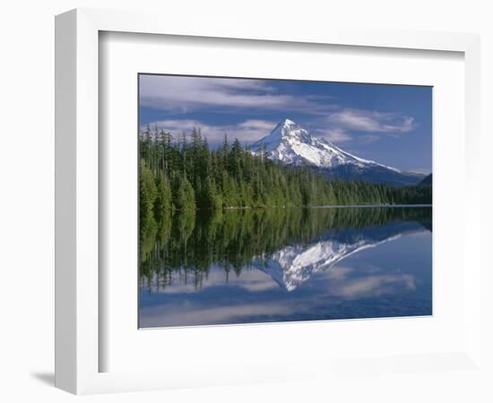 OR, Mount Hood NF and conifer forest reflect on calm surface of Lost Lake.-John Barger-Framed Photographic Print