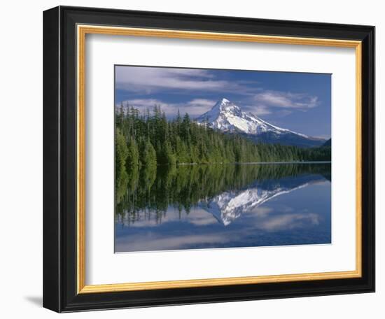 OR, Mount Hood NF and conifer forest reflect on calm surface of Lost Lake.-John Barger-Framed Photographic Print