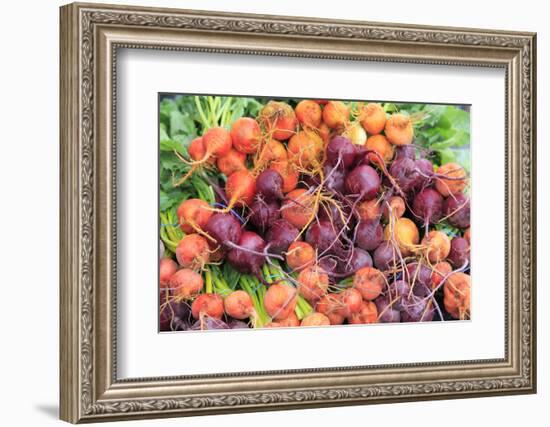 OR, Redmond, Bend. The Bend Farmers Market at Top of Mirror Pond Park. Colorful radishes.-Emily Wilson-Framed Photographic Print