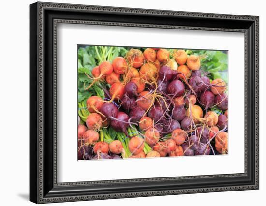 OR, Redmond, Bend. The Bend Farmers Market at Top of Mirror Pond Park. Colorful radishes.-Emily Wilson-Framed Photographic Print