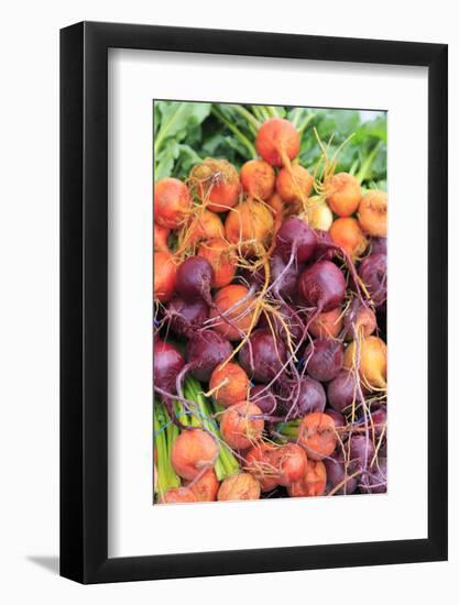 OR, Redmond, Bend. The Bend Farmers Market at Top of Mirror Pond Park. Colorful radishes.-Emily Wilson-Framed Photographic Print